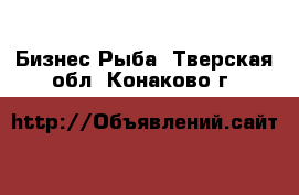 Бизнес Рыба. Тверская обл.,Конаково г.